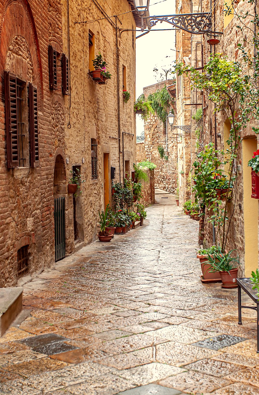A quiet stone lane lined with potted plants
