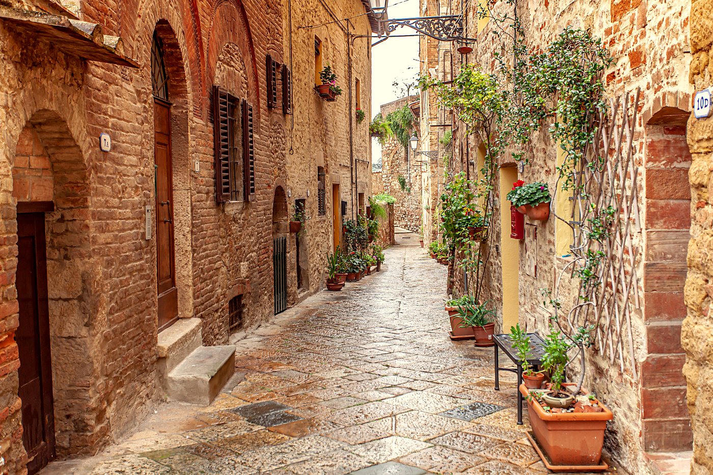 A quiet stone lane lined with potted plants
